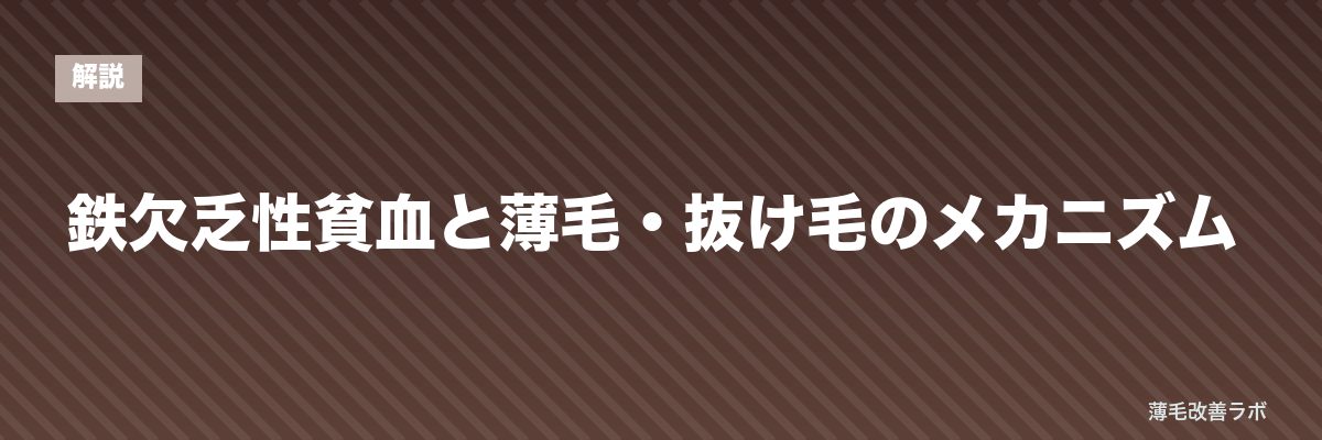 鉄欠乏性貧血と薄毛・抜け毛のメカニズム | 薄毛改善ラボ