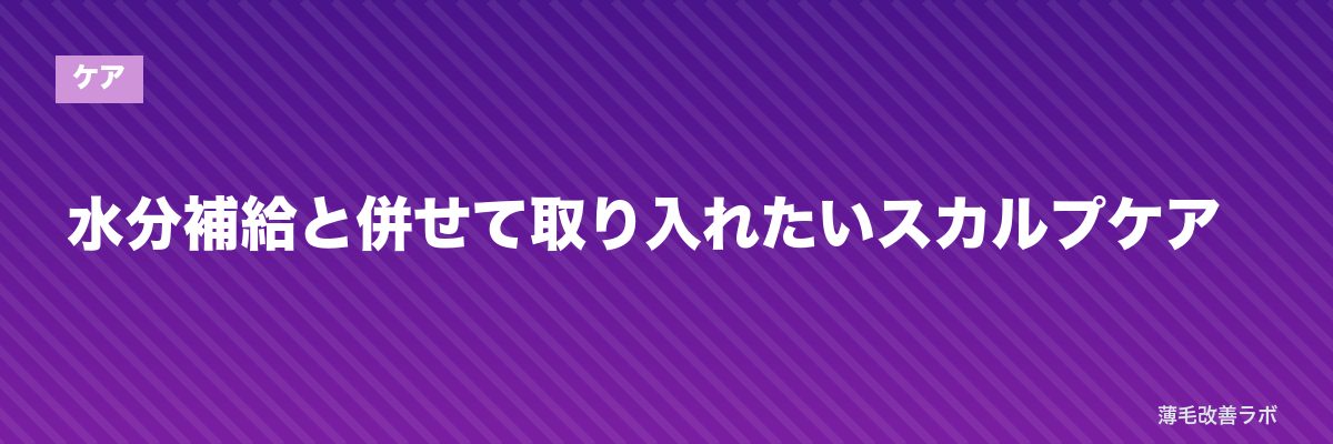 水分補給と併せて取り入れたいスカルプケア | 薄毛改善ラボ