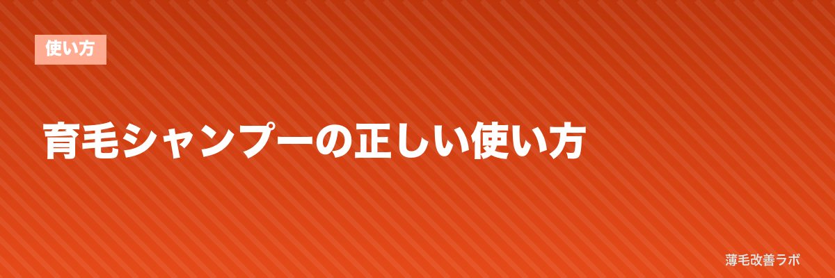 育毛シャンプーの正しい使い方 | 薄毛改善ラボ
