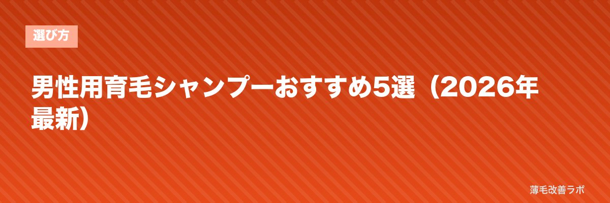 男性用育毛シャンプーおすすめ5選（2026年最新） | 薄毛改善ラボ