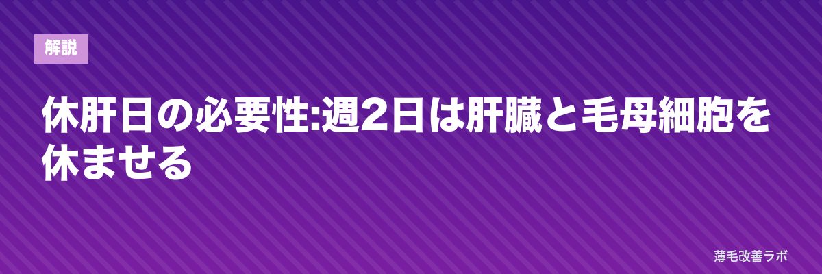 休肝日の必要性:週2日は肝臓と毛母細胞を休ませる | 薄毛改善ラボ
