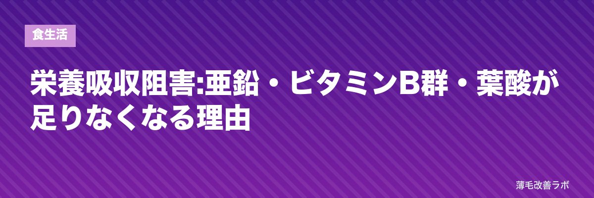 栄養吸収阻害:亜鉛・ビタミンB群・葉酸が足りなくなる理由 | 薄毛改善ラボ