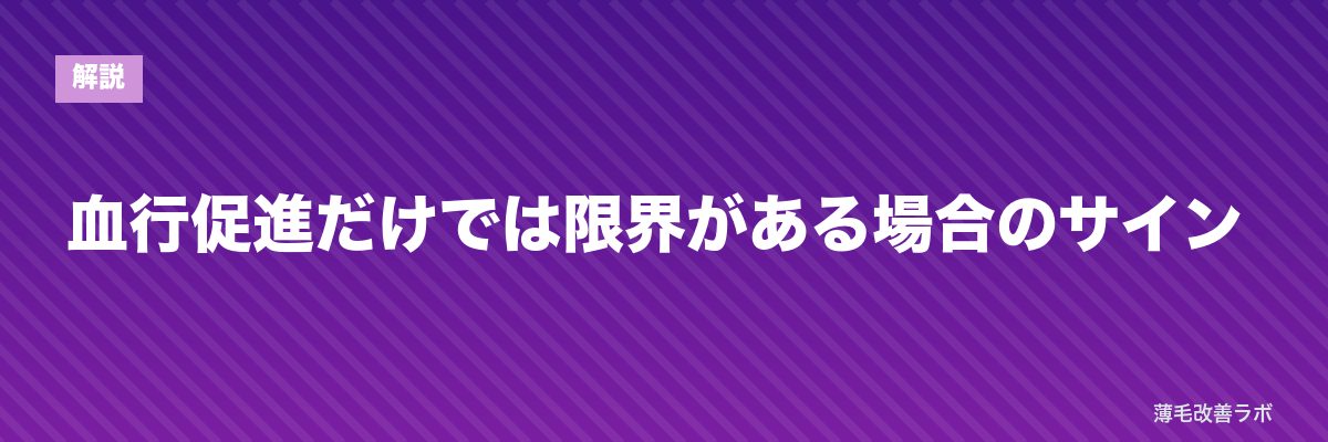 血行促進だけでは限界がある場合のサイン | 薄毛改善ラボ