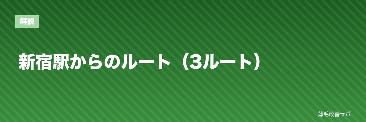 新宿駅からのルート（3ルート） | 薄毛改善ラボ