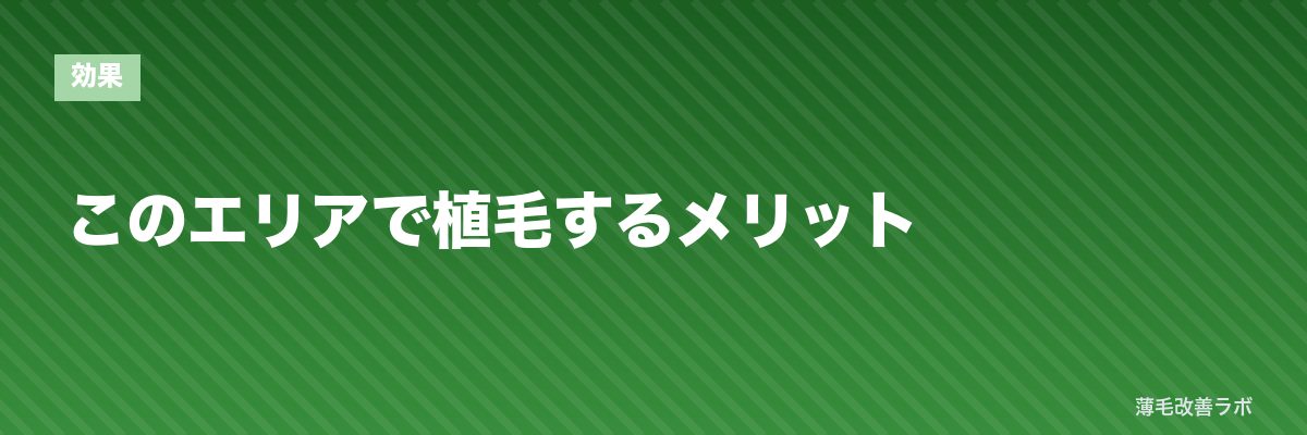 このエリアで植毛するメリット | 薄毛改善ラボ