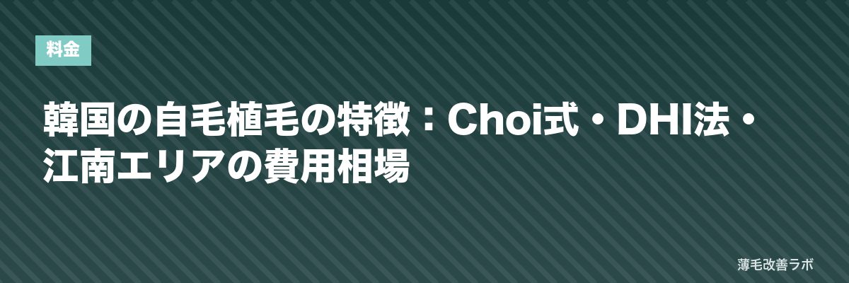韓国の自毛植毛の特徴：Choi式・DHI法・江南エリアの費用相場 | 薄毛改善ラボ