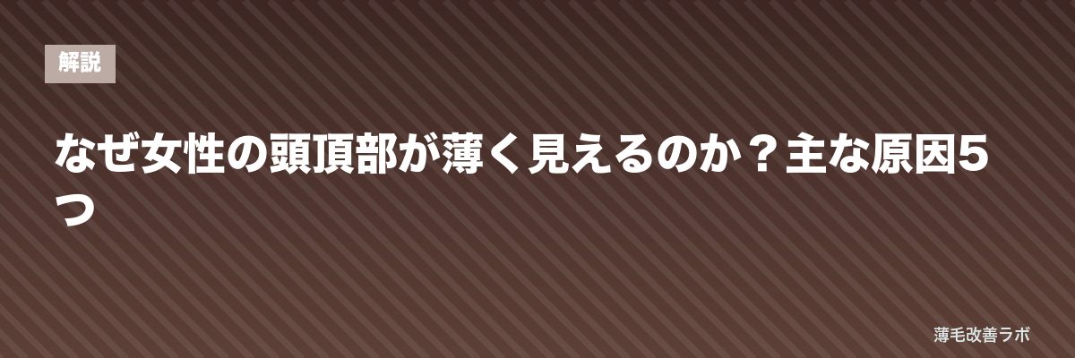 なぜ女性の頭頂部が薄く見えるのか？主な原因5つ | 薄毛改善ラボ