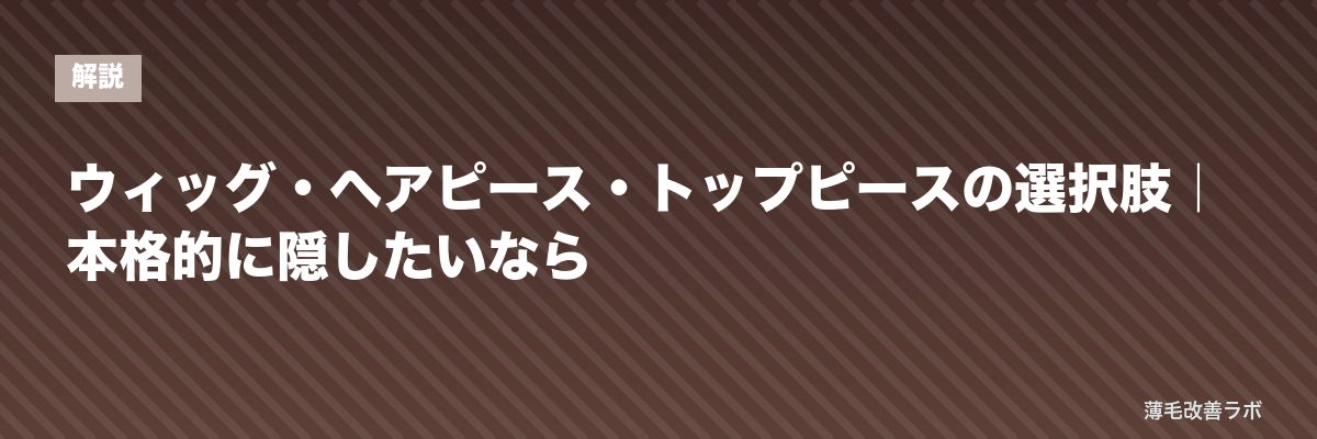 ウィッグ・ヘアピース・トップピースの選択肢｜本格的に隠したいなら | 薄毛改善ラボ