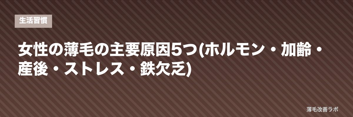 女性の薄毛の主要原因5つ(ホルモン・加齢・産後・ストレス・鉄欠乏) | 薄毛改善ラボ