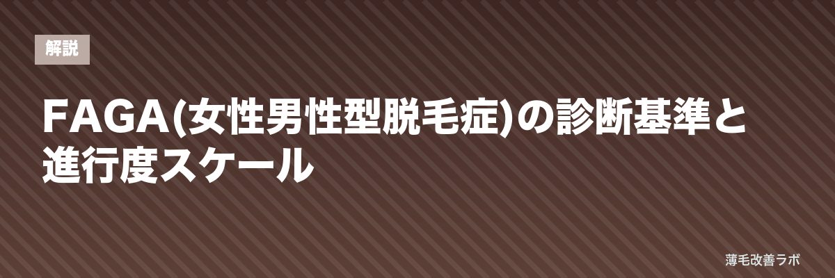 FAGA(女性男性型脱毛症)の診断基準と進行度スケール | 薄毛改善ラボ