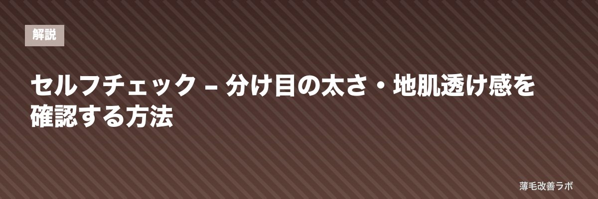 セルフチェック – 分け目の太さ・地肌透け感を確認する方法 | 薄毛改善ラボ