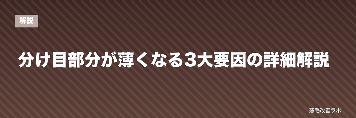 分け目部分が薄くなる3大要因の詳細解説 | 薄毛改善ラボ