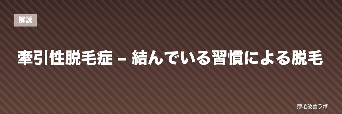 牽引性脱毛症 – 結んでいる習慣による脱毛 | 薄毛改善ラボ