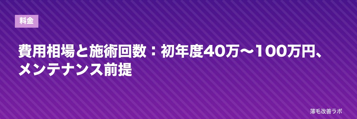 費用相場と施術回数：初年度40万〜100万円、メンテナンス前提 | 薄毛改善ラボ