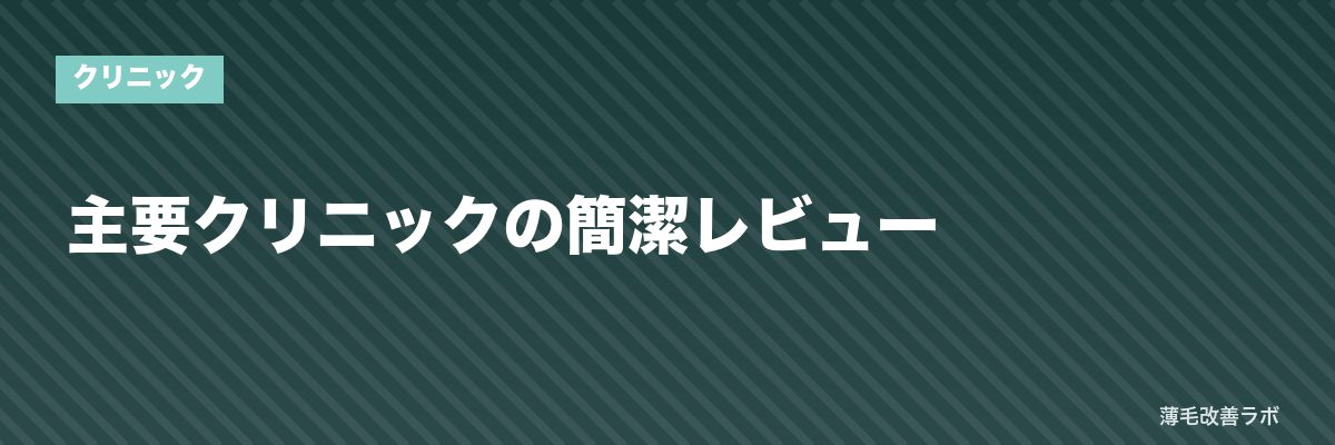 主要クリニックの簡潔レビュー | 薄毛改善ラボ