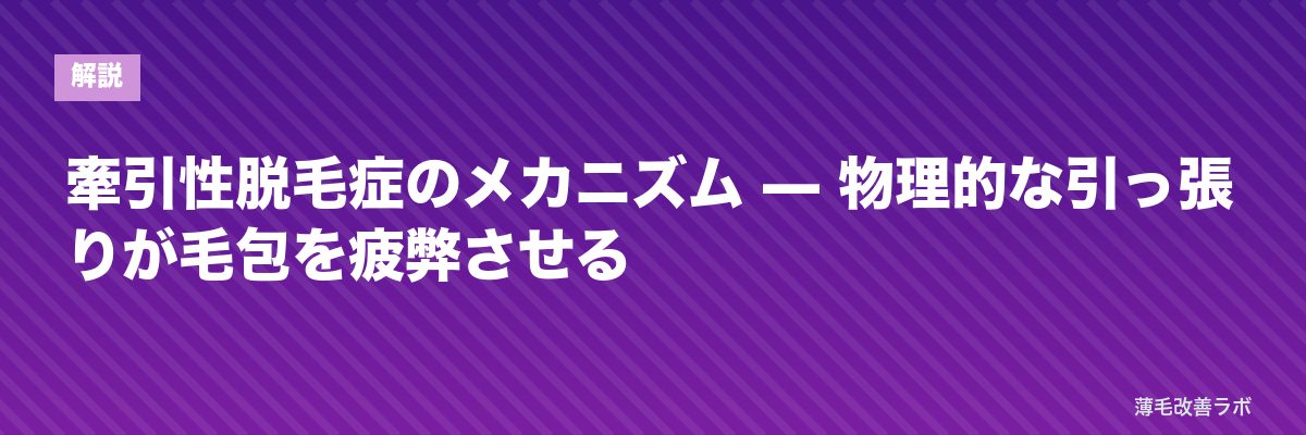 牽引性脱毛症のメカニズム — 物理的な引っ張りが毛包を疲弊させる | 薄毛改善ラボ