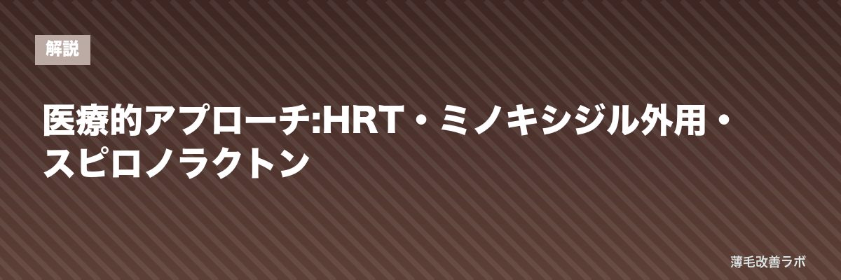 医療的アプローチ:HRT・ミノキシジル外用・スピロノラクトン | 薄毛改善ラボ