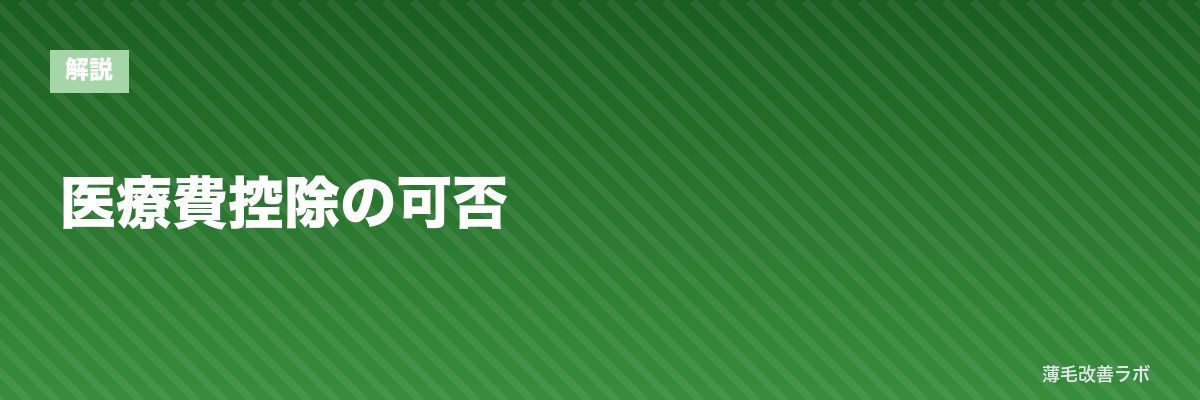 医療費控除の可否 | 薄毛改善ラボ