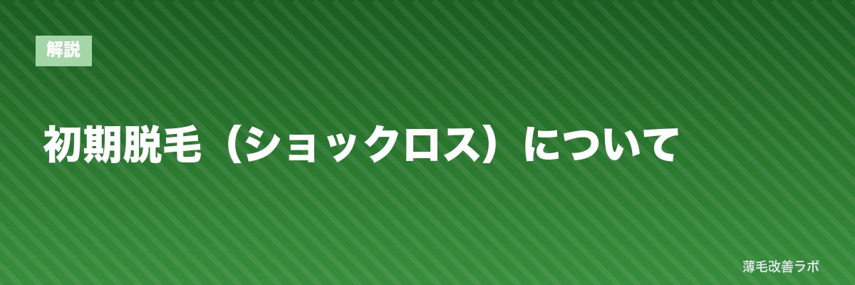 初期脱毛（ショックロス）について | 薄毛改善ラボ
