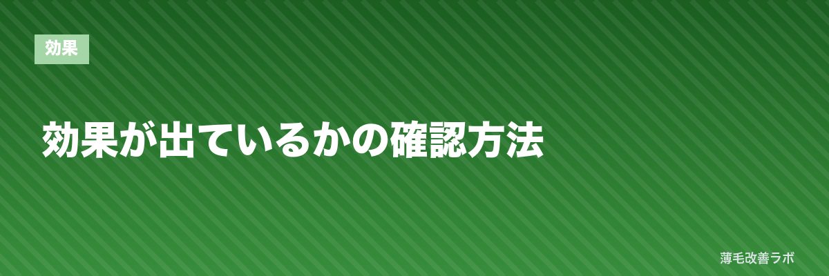 効果が出ているかの確認方法 | 薄毛改善ラボ