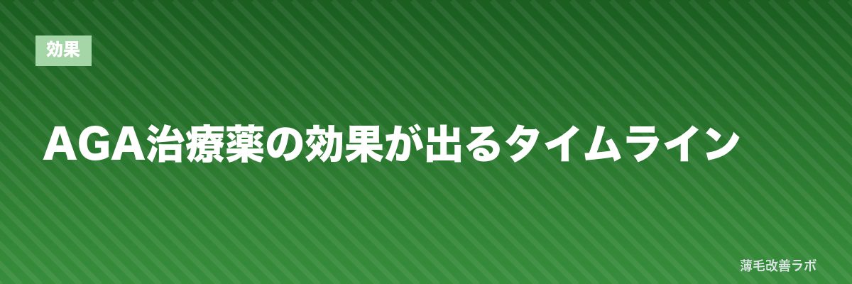 AGA治療薬の効果が出るタイムライン | 薄毛改善ラボ
