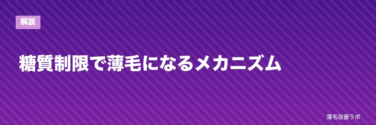 糖質制限で薄毛になるメカニズム | 薄毛改善ラボ