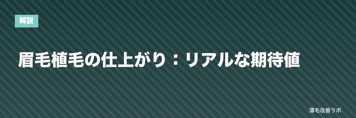 眉毛植毛の仕上がり：リアルな期待値 | 薄毛改善ラボ