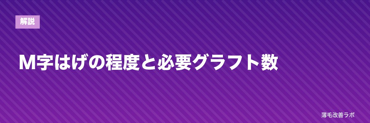 M字はげの程度と必要グラフト数 | 薄毛改善ラボ
