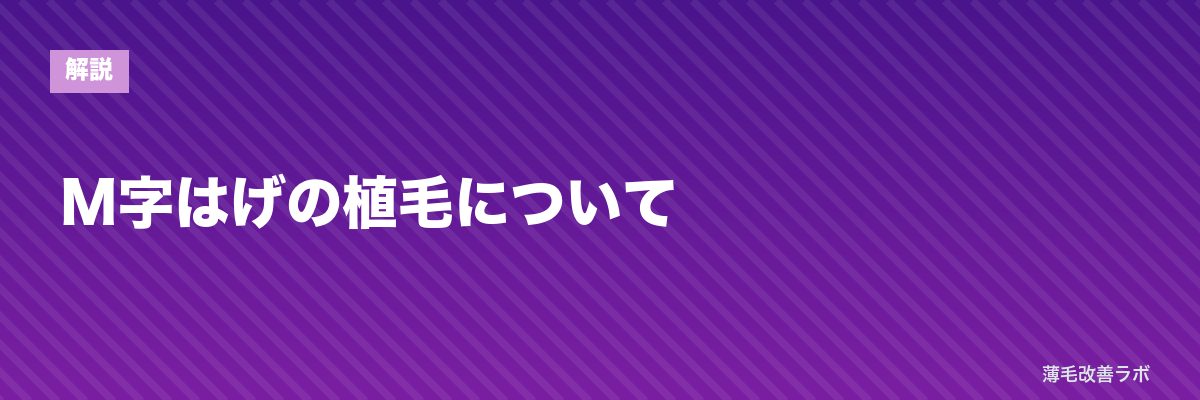 M字はげの植毛について | 薄毛改善ラボ