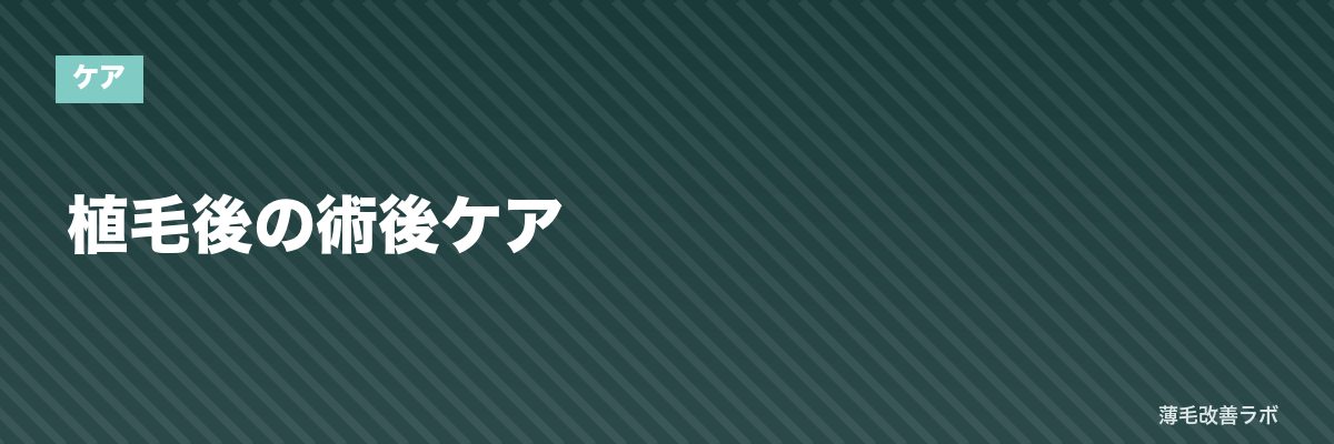 植毛後の術後ケア | 薄毛改善ラボ