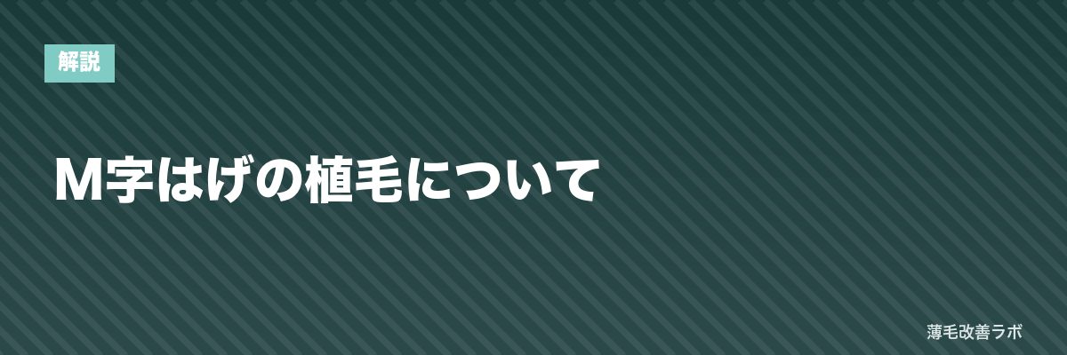 M字はげの植毛について | 薄毛改善ラボ
