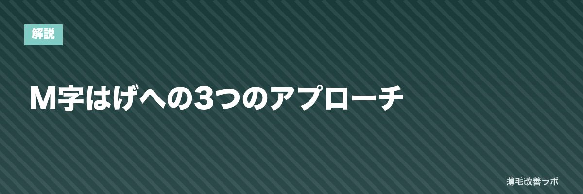 M字はげへの3つのアプローチ | 薄毛改善ラボ