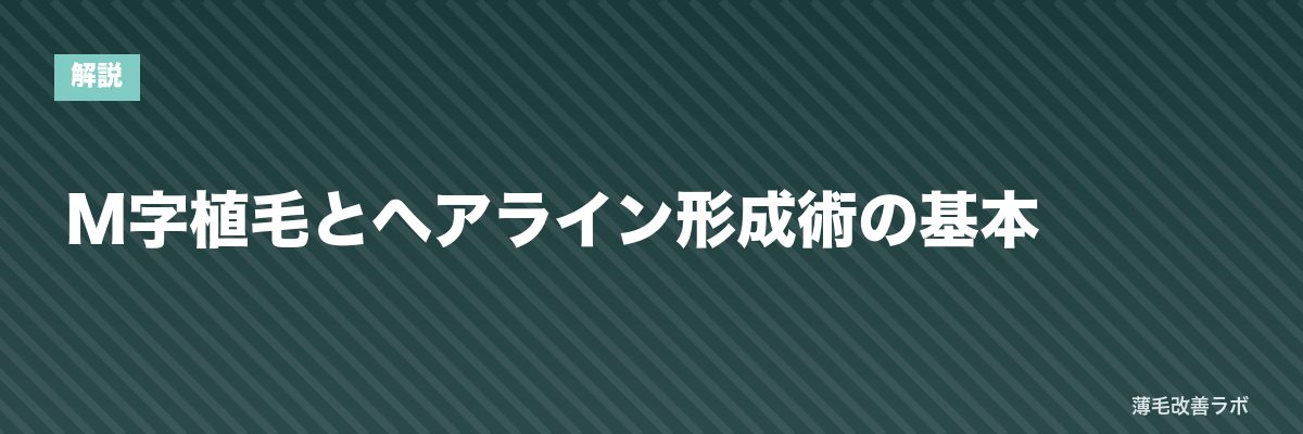 M字植毛とヘアライン形成術の基本 | 薄毛改善ラボ