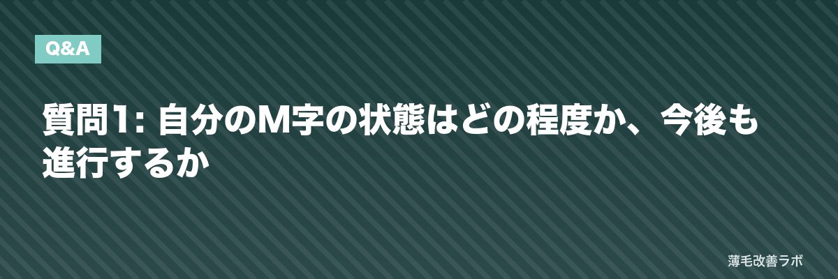 質問1: 自分のM字の状態はどの程度か、今後も進行するか | 薄毛改善ラボ