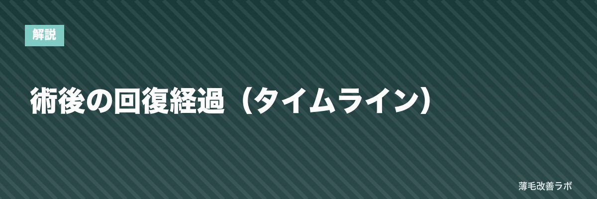 術後の回復経過（タイムライン） | 薄毛改善ラボ