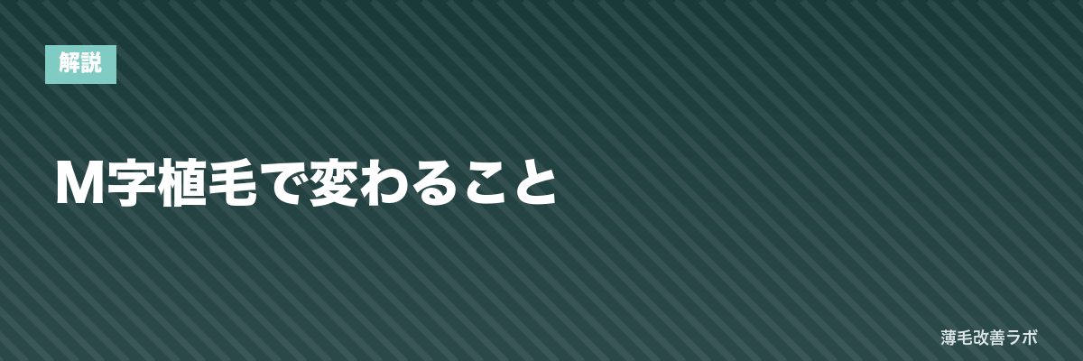 M字植毛で変わること | 薄毛改善ラボ