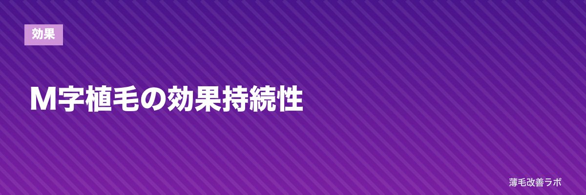 M字植毛の効果持続性 | 薄毛改善ラボ