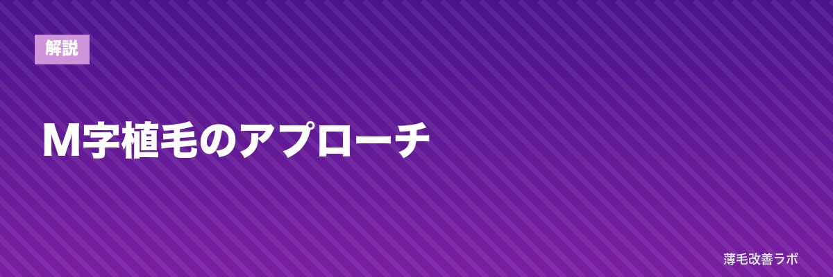 M字植毛のアプローチ | 薄毛改善ラボ