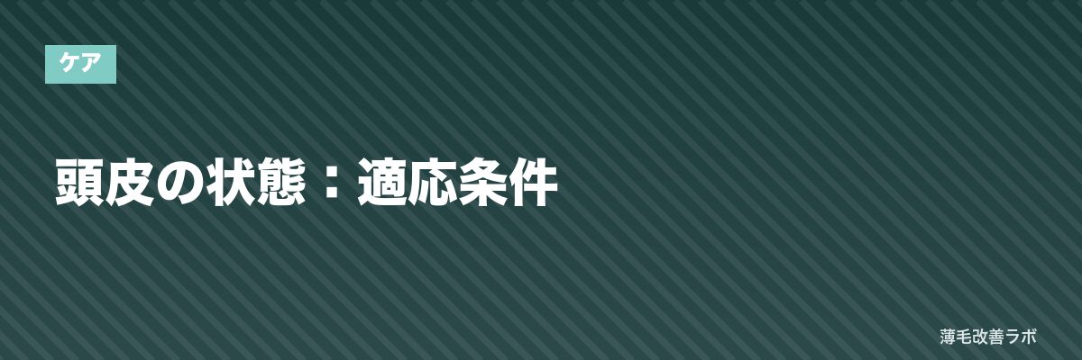 頭皮の状態：適応条件 | 薄毛改善ラボ
