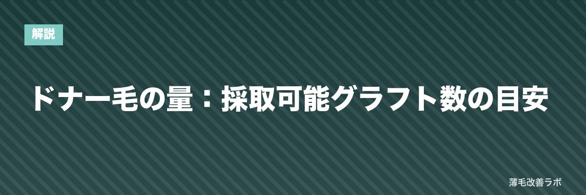 ドナー毛の量：採取可能グラフト数の目安 | 薄毛改善ラボ