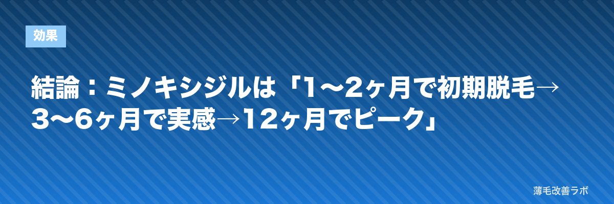 結論：ミノキシジルは「1〜2ヶ月で初期脱毛→3〜6ヶ月で実感→12ヶ月でピーク」 | 薄毛改善ラボ