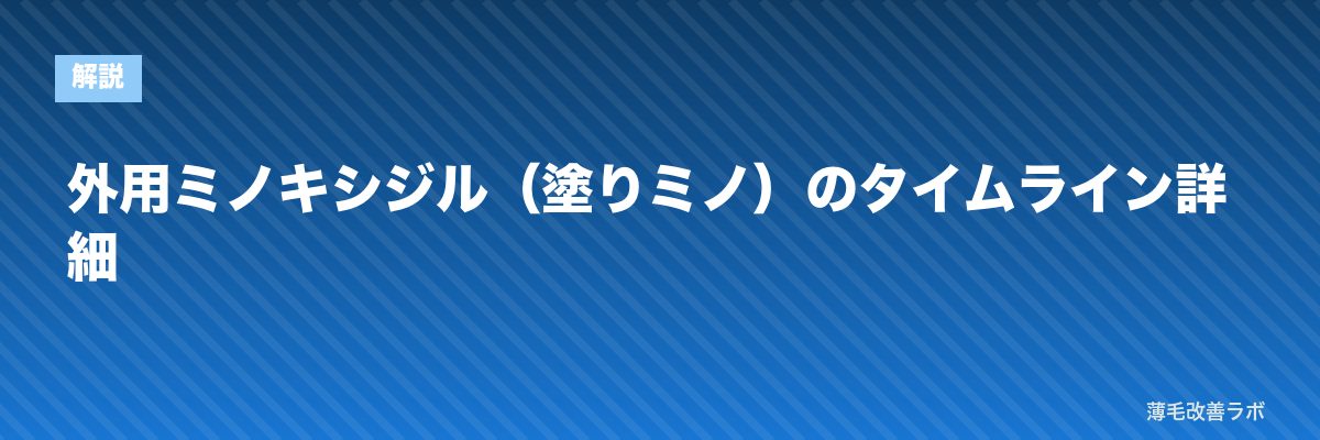 外用ミノキシジル（塗りミノ）のタイムライン詳細 | 薄毛改善ラボ