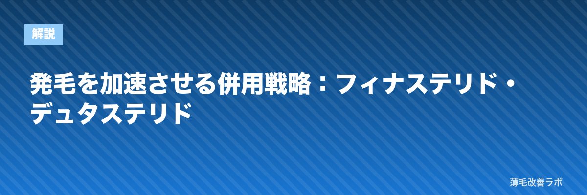 発毛を加速させる併用戦略：フィナステリド・デュタステリド | 薄毛改善ラボ
