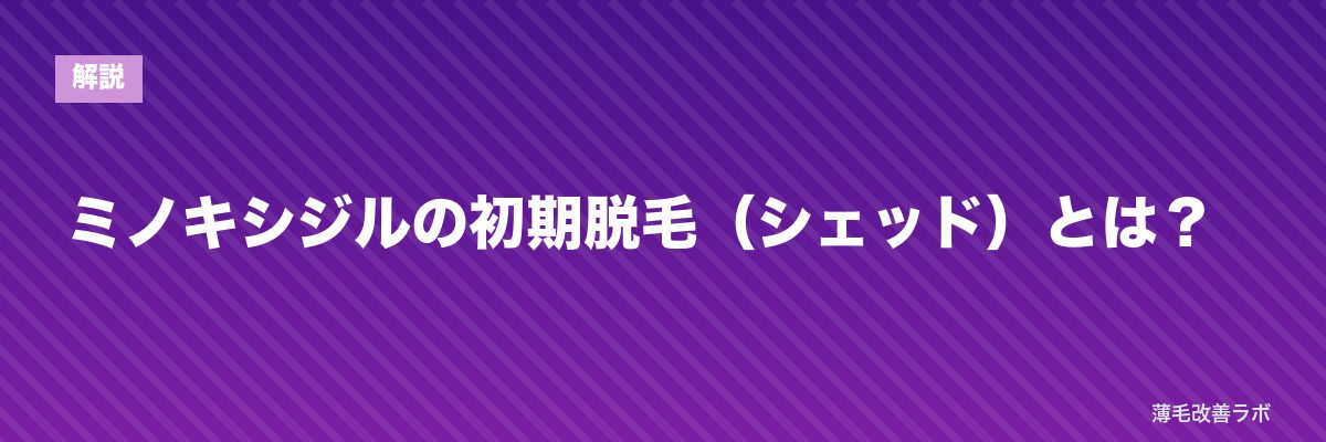 ミノキシジルの初期脱毛（シェッド）とは？ | 薄毛改善ラボ