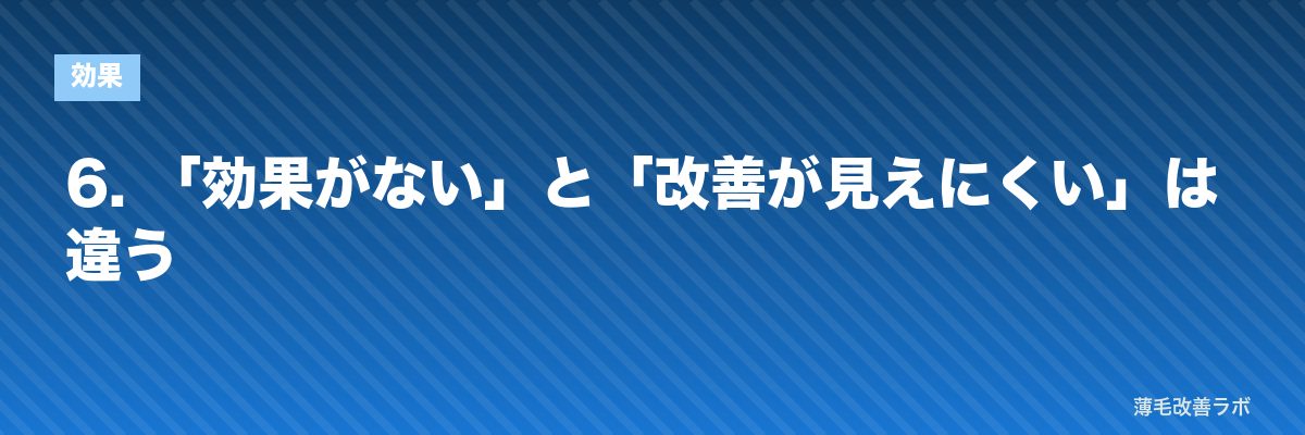 6. 「効果がない」と「改善が見えにくい」は違う | 薄毛改善ラボ