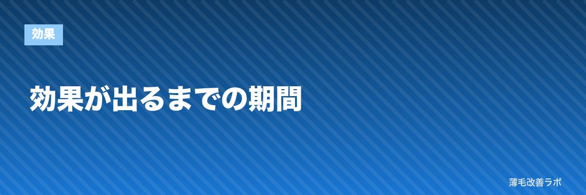 効果が出るまでの期間 | 薄毛改善ラボ