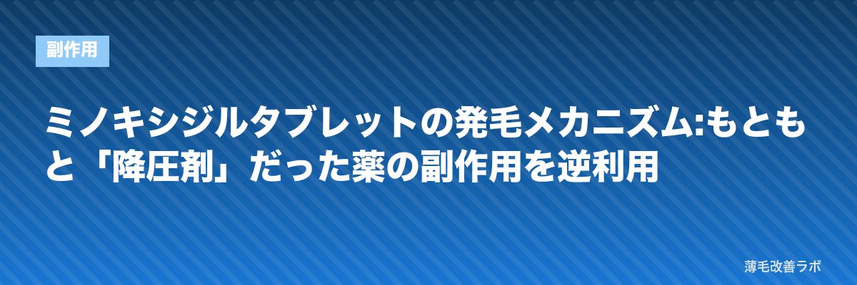 ミノキシジルタブレットの発毛メカニズム:もともと「降圧剤」だった薬の副作用を逆利用 | 薄毛改善ラボ