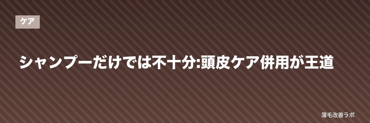 シャンプーだけでは不十分:頭皮ケア併用が王道 | 薄毛改善ラボ