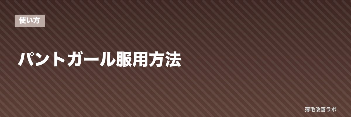 パントガール服用方法 | 薄毛改善ラボ