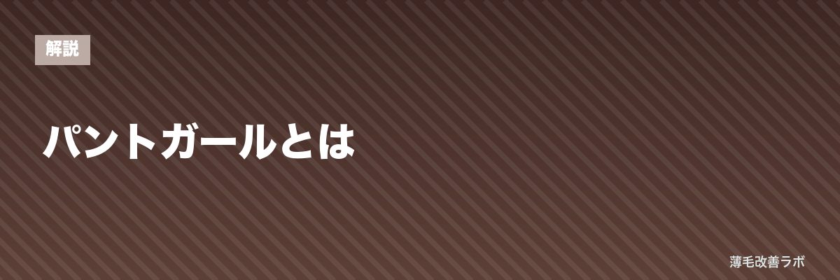 パントガールとは | 薄毛改善ラボ